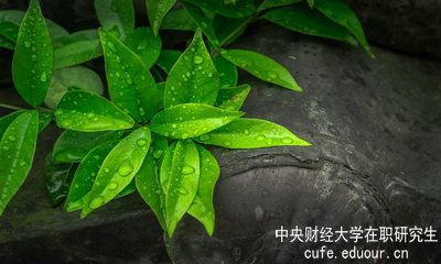 中央財經(jīng)大學(xué)同等學(xué)力申碩達到多少分才算通過考試？