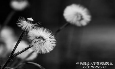想上中央財(cái)經(jīng)大學(xué)在職研究生去哪里報(bào)名？