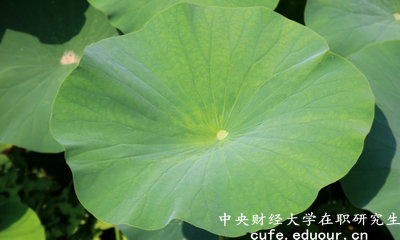 2018年中央財(cái)經(jīng)大學(xué)在職研究生可以獲得雙證嗎？