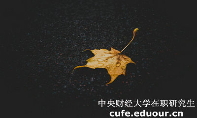 中央財(cái)經(jīng)大學(xué)在職研究生與課程研修班有哪些區(qū)別？