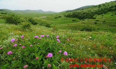 中國財經(jīng)大學(xué)在職研究生可以不考試么？