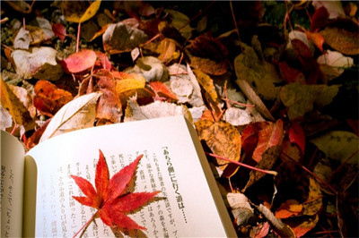 中央財經大學在職研究生